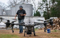 杂草往往会挡而难以发觉